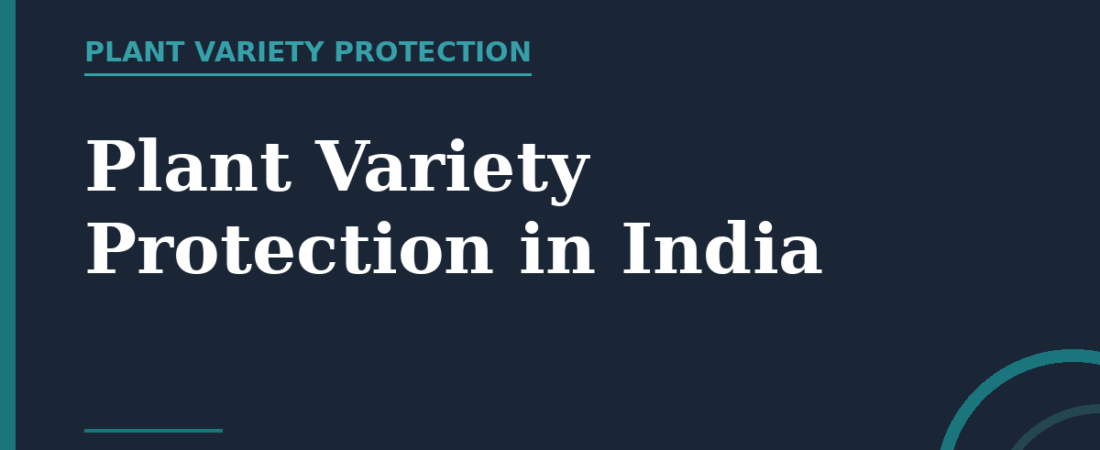Plant Variety Protection in India: The PPV&FR Act Explained